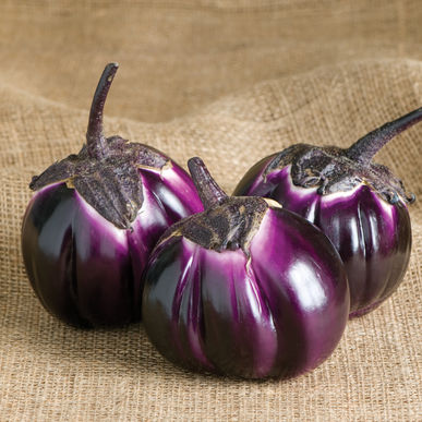 barbarella eggplants from www.johnnyseeds.com